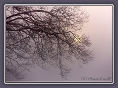 Schüchternes Sonnenlicht am Morgen