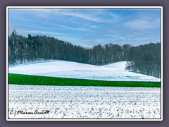 Weyerberg - Winter in Worpswede