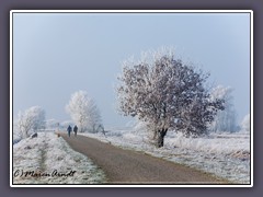 Winterspaziergang an der Hamme