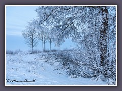 Winterzauber - eingeschneit