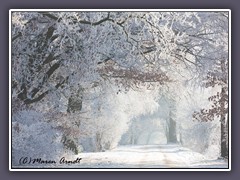 Winterzauber am Garlstedter Kirchweg