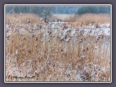 Wümme - ein Naturparadies