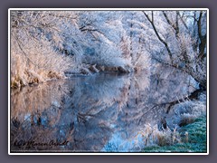 Wümme - Kirchenfleet Natur gespiegelt