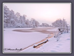 Zugefroren - Winter von seiner schönsten Seite