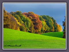 Auf dem Weyerberg