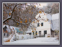 Barkenhoff im Herbst