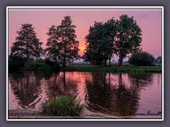 Natur pur an der Hamme