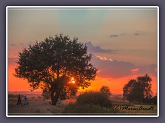 Weg in die Hammeniederung