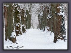 Weyerberg - die Linden Allee