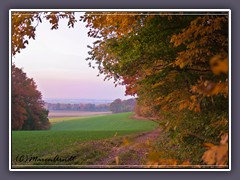 Weyerberg - herbstlicher Blick ins weite Land der Hammeniederung