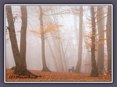 Weyerberg - Nebel