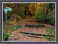 Weyerberg - Willi Ohler Weg