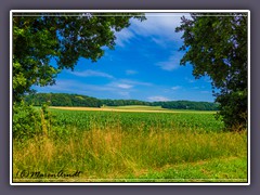 Worpswede - Blick zum Weyerberg